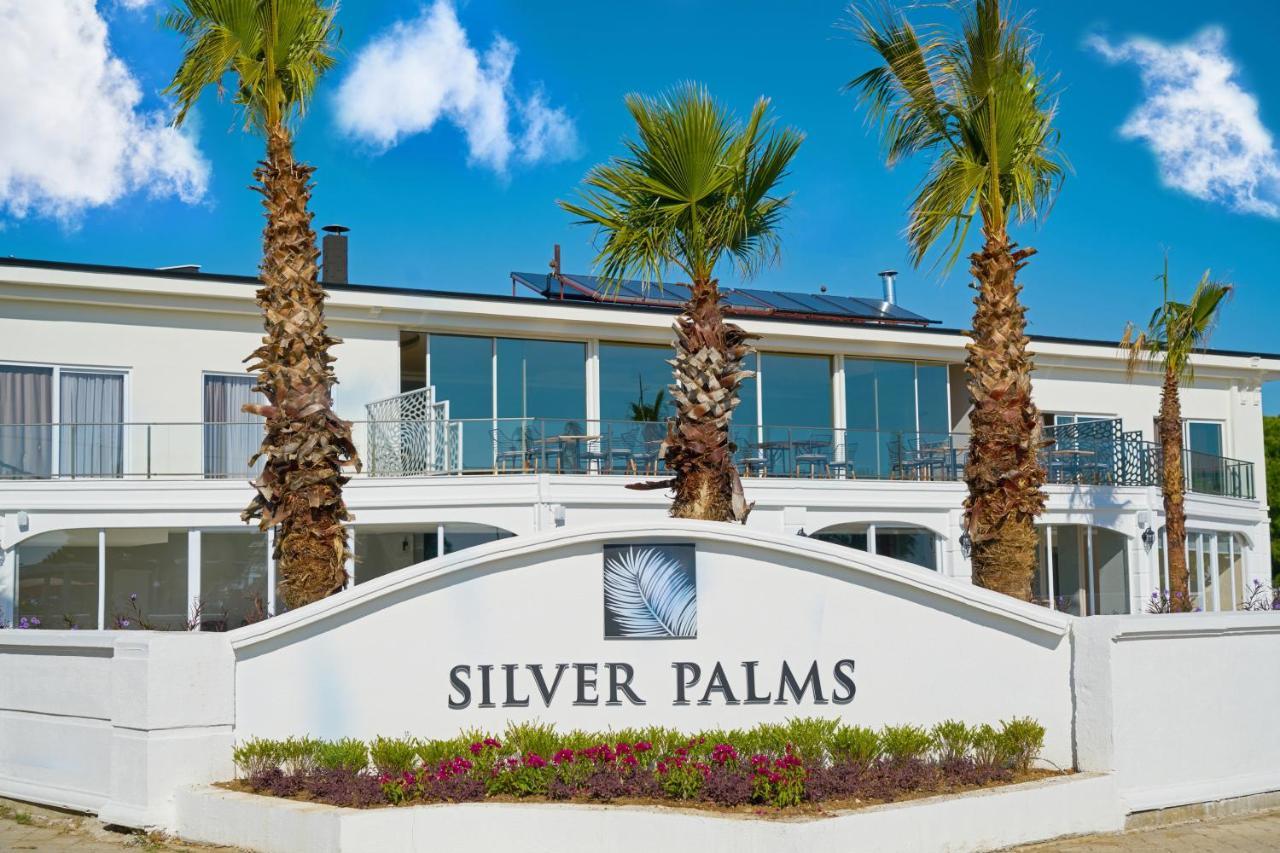 Silver Palms באלאק מראה חיצוני תמונה